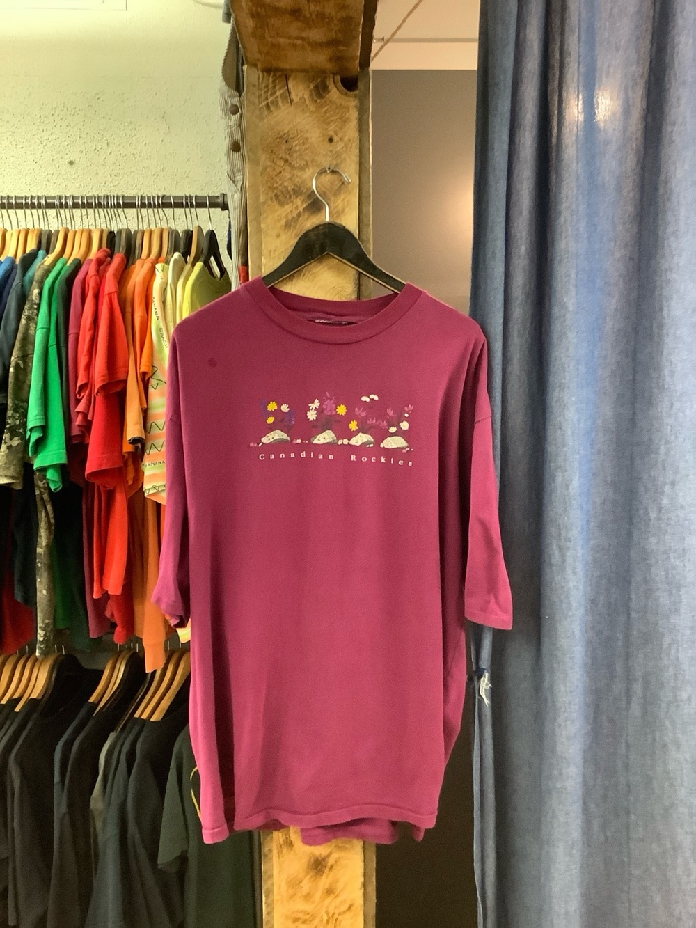 Vintage Canadian Rockies pink t-shirt